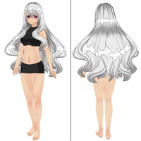 メインクーンヘアーセット