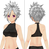 ハードスパイクヘアーセット