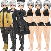 カスタムオーダーメイド3D2 コスチュームセット Vol.39