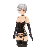 SLC（セクシーランジェリーコスチューム）セット