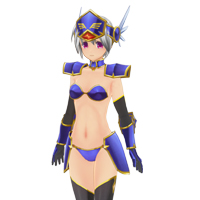 ビキニアーマーセット