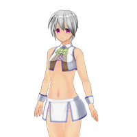 セクシーチアリーダーセット