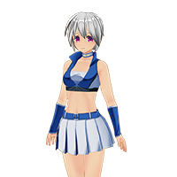 レースクイーンセット