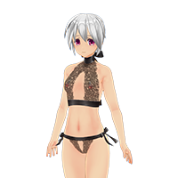 STRランジェリーセット