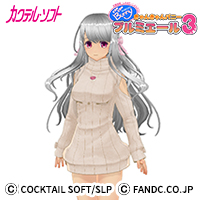 きゃんバニ3・須崎花子女なりきりセット