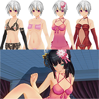 カスタムオーダーメイド3D2 アダルトコスチュームセットVol.3 + Hイベント