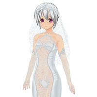 シースルーウエディングドレスセット