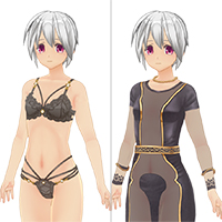 カスタムオーダーメイド3D2 AVパックVol.02 コスチュームセット『ノーマルボディ版』