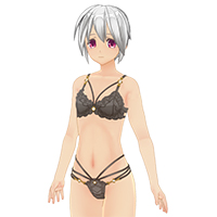 エレガントレースランジェリー『ノーマルボディ版』