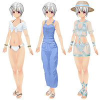 カスタムオーダーメイド3D2 コスチュームセット Vol.29『ノーマルボディ版』