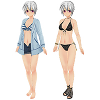 カスタムオーダーメイド3D2 コスチュームセット Vol.38『ノーマルボディ版』