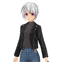 レザー＆ニットカジュアルセット『ノーマルボディ版』