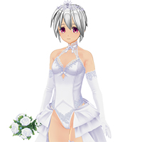 シャイネスウェディングドレスセット『ノーマル』
